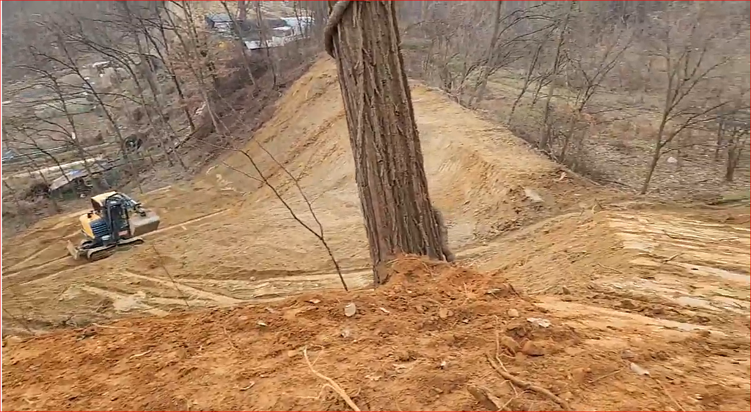 토지/임야 - 과수원